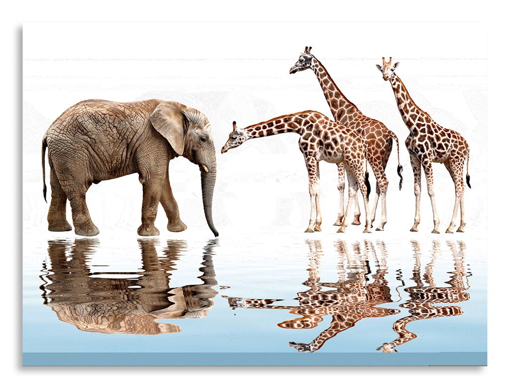 Постер 2507 "Слон и жирафы" фото 1