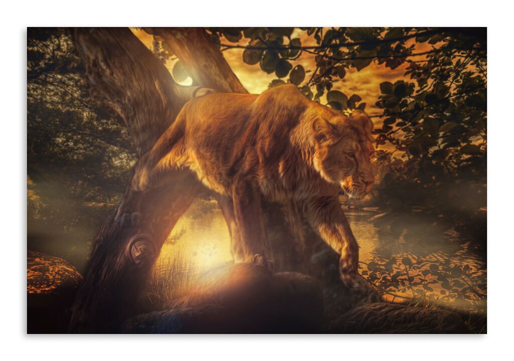 Постер 3316 "Молодой лев" фото 1