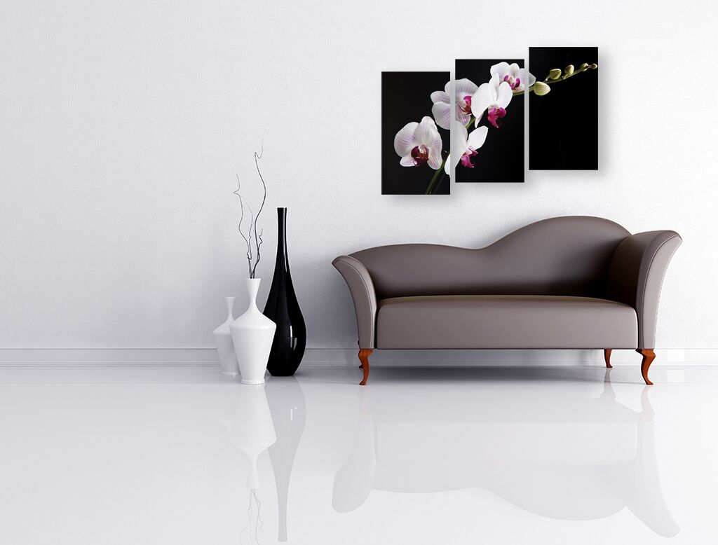 Модульная картина 248 "Белая орхидея на черном" фото 2