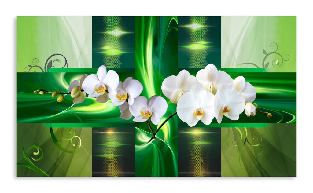 Постер 2059 "Белые орхидеи на зеленом фоне" фото 1
