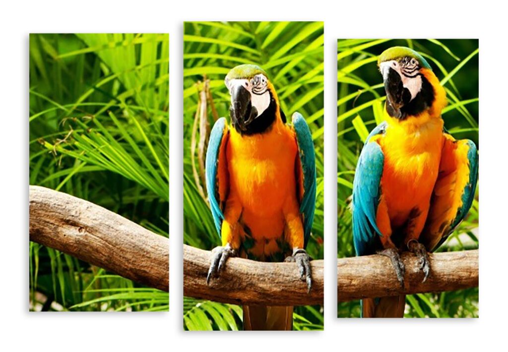 Модульная картина 3366 "Два попугая" фото 1