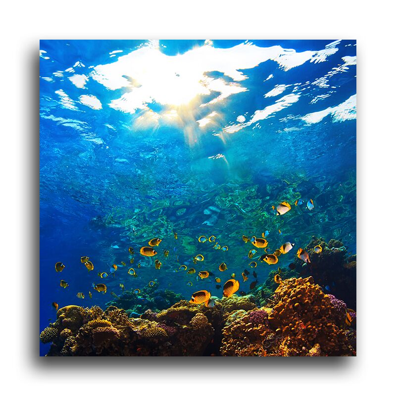 Постер 437 "Подводный мир" фото 1