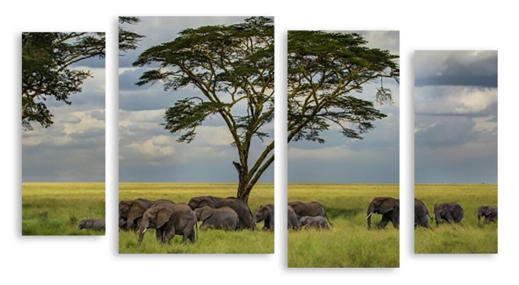 Модульная картина 2876 "Африканские слоны" фото 1