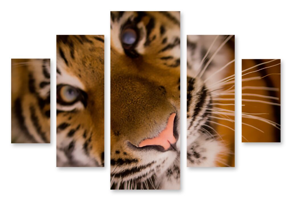 Модульная картина 1358 "Взгляд тигра" фото 1