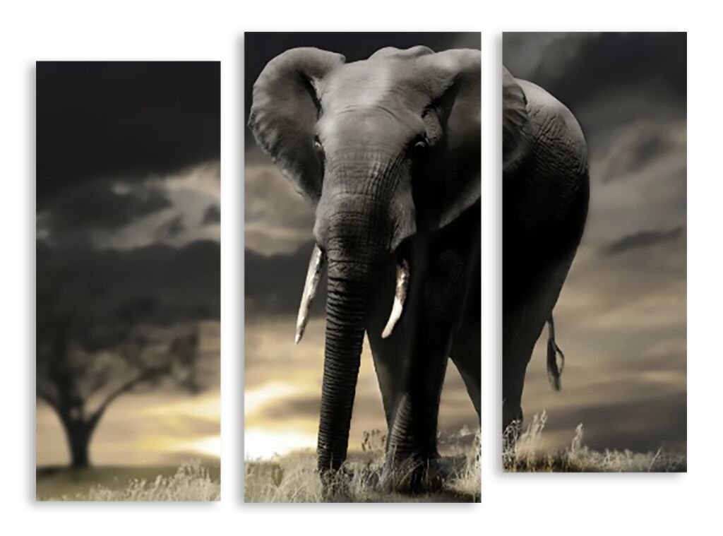 Модульная картина 3025 "Серый слон" фото 1