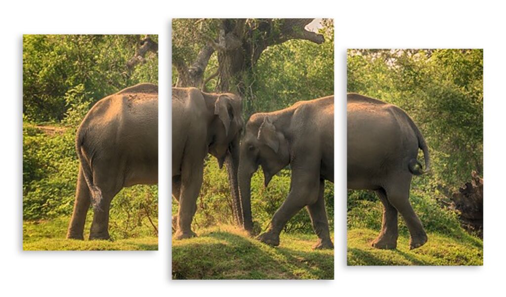 Модульная картина 3350 "Игра слонов" фото 1