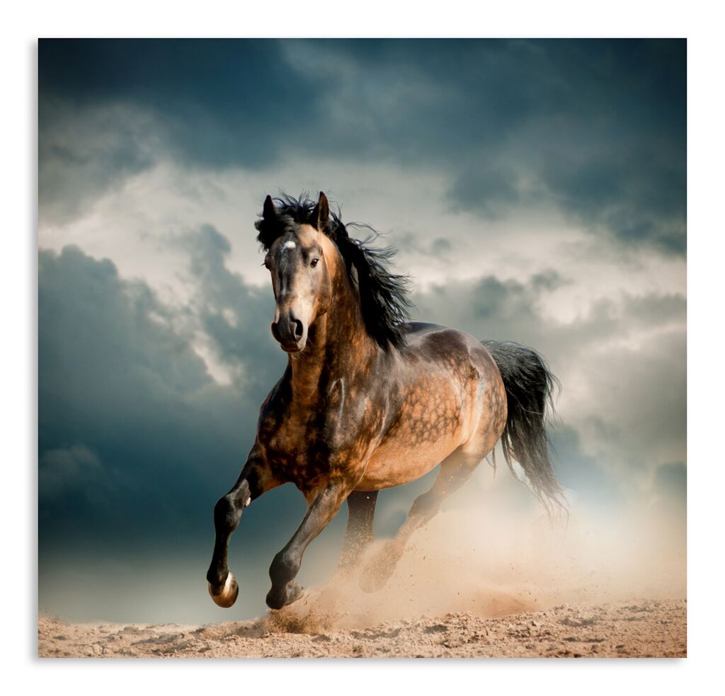 Постер 47 "Лошадь" фото 1