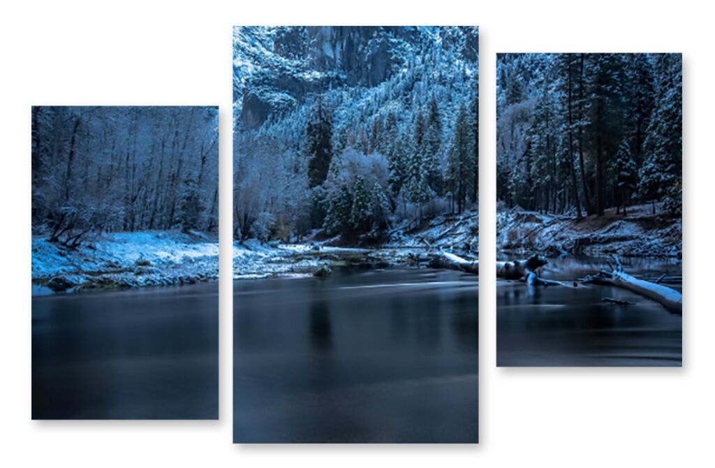 Модульная картина 1228 "Морозный лес" фото 1