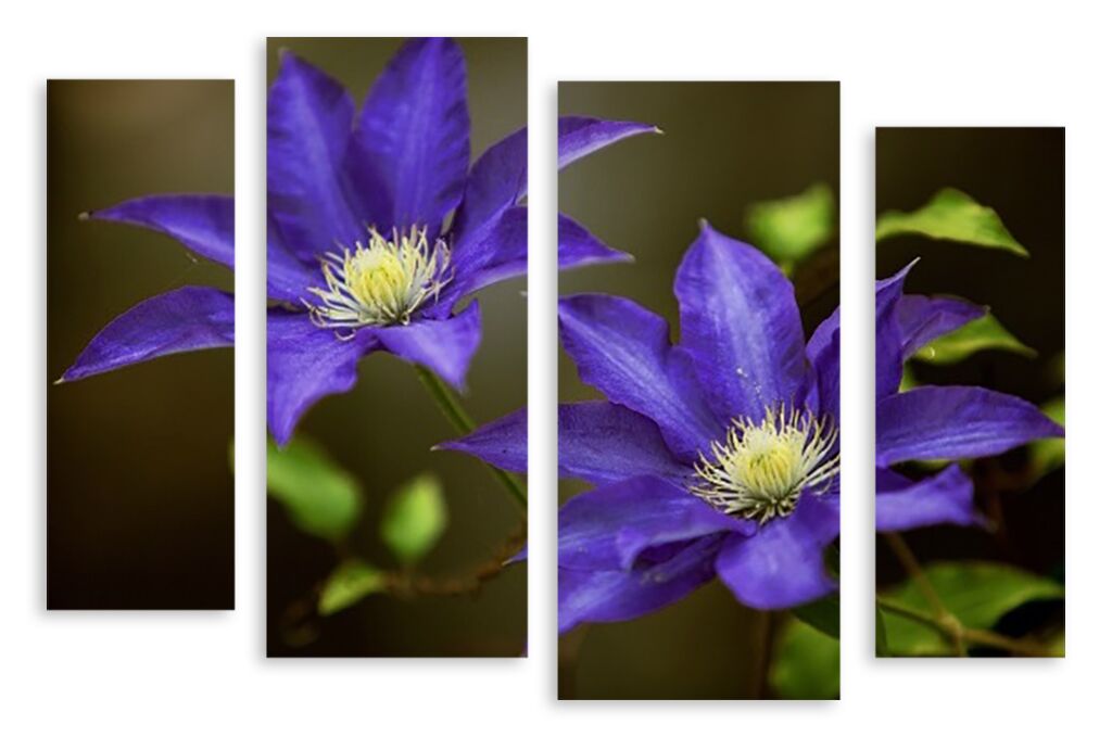 Модульная картина 3541 "Фиолетовые цветы" фото 1