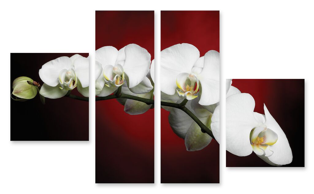Модульная картина 185 "Орхидея" фото 1