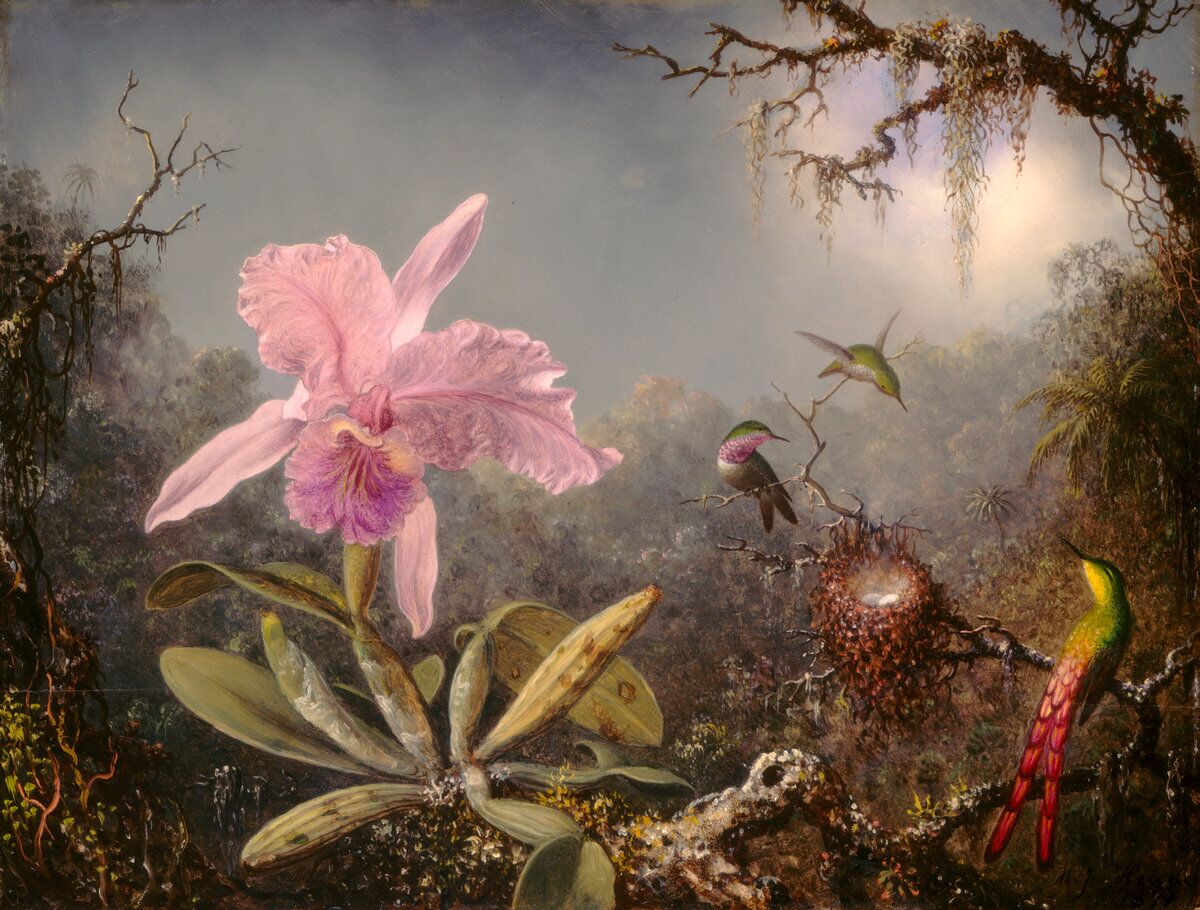 Репродукция 116 "Мартин Джонсон Хед. Орхидея и птицы." фото 1