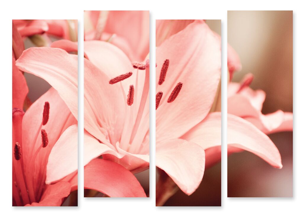 Модульная картина 169 "Розовая лилия" фото 1