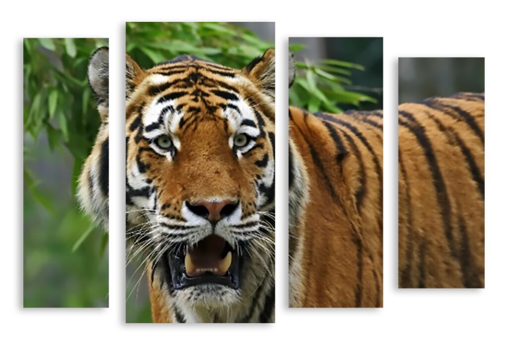 Модульная картина 2783 "Грозный тигр" фото 1
