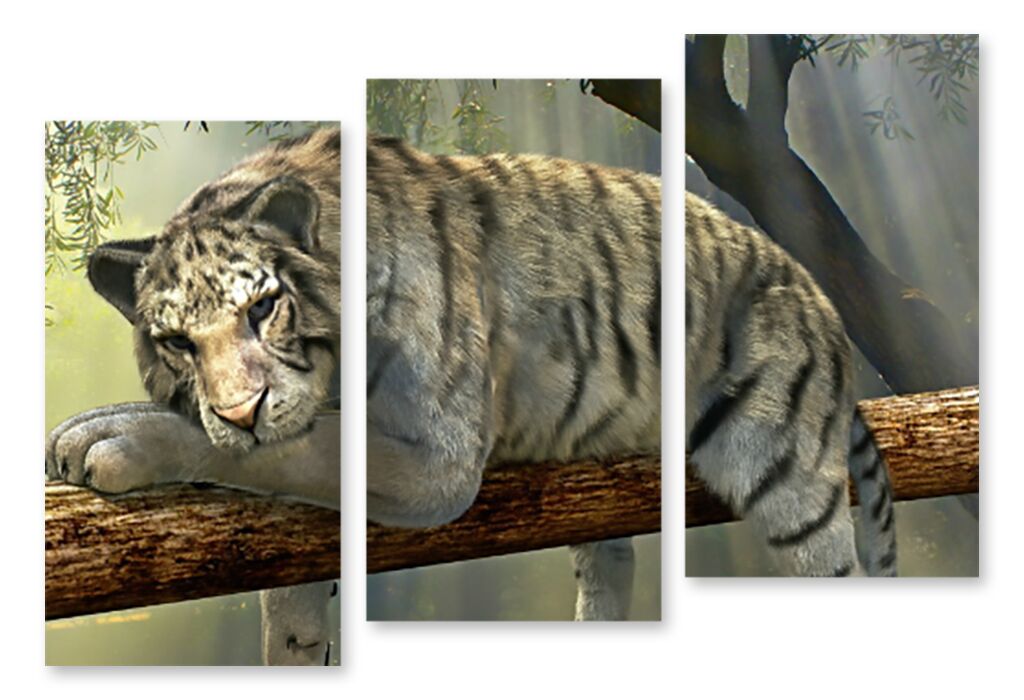 Модульная картина 1362 "Белый тигр" фото 1