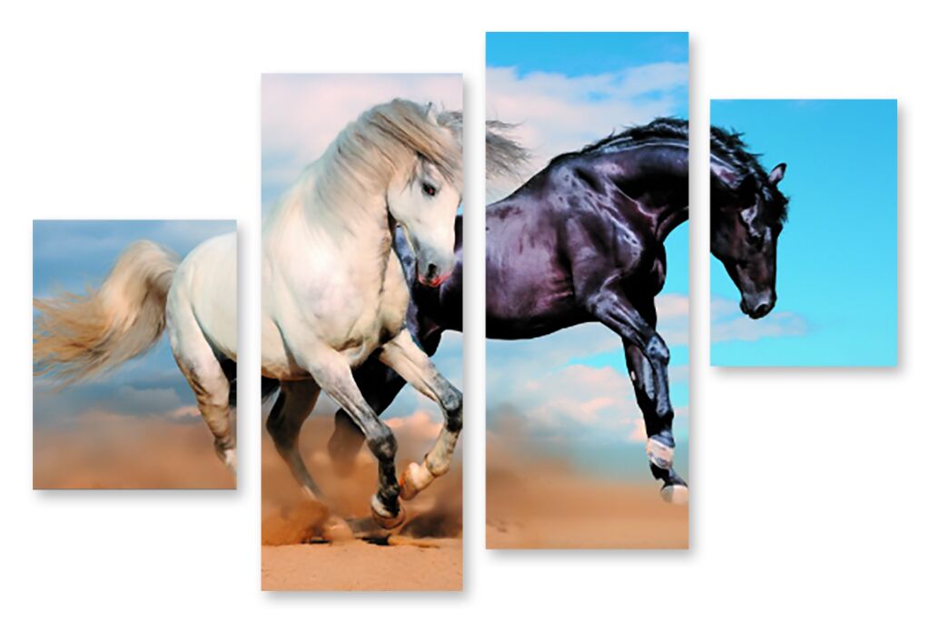 Модульная картина 1142 "Черный и белый кони" фото 1