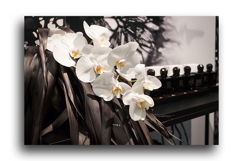 Постер 230 "Белые орхидеи" фото 1