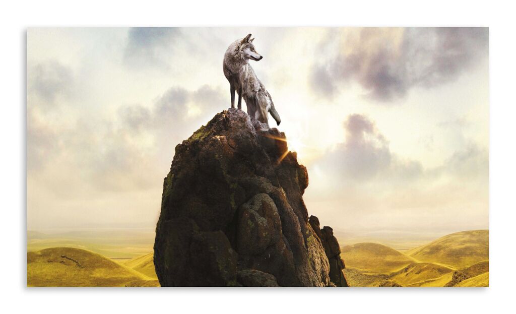 Постер 3438 "Волк на скале" фото 1