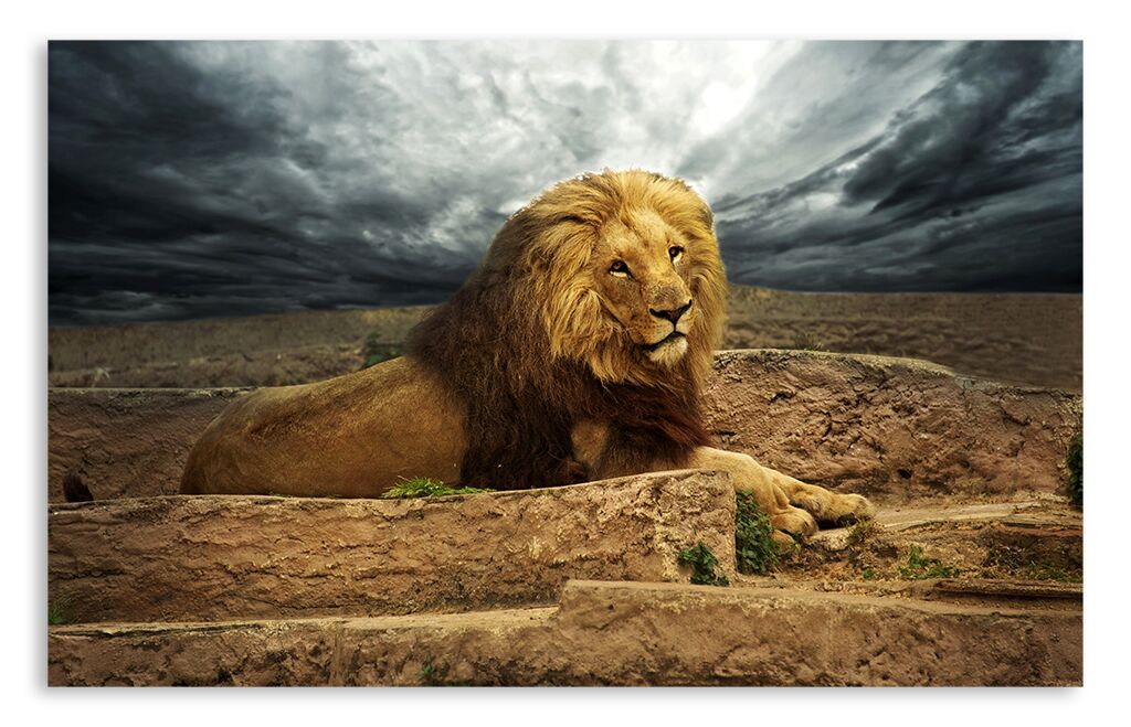 Постер 2408 "Король лев" фото 1