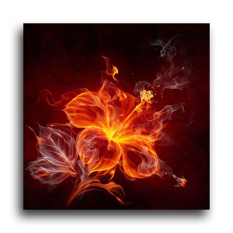 Постер 71 "Цветок в огне" фото 1