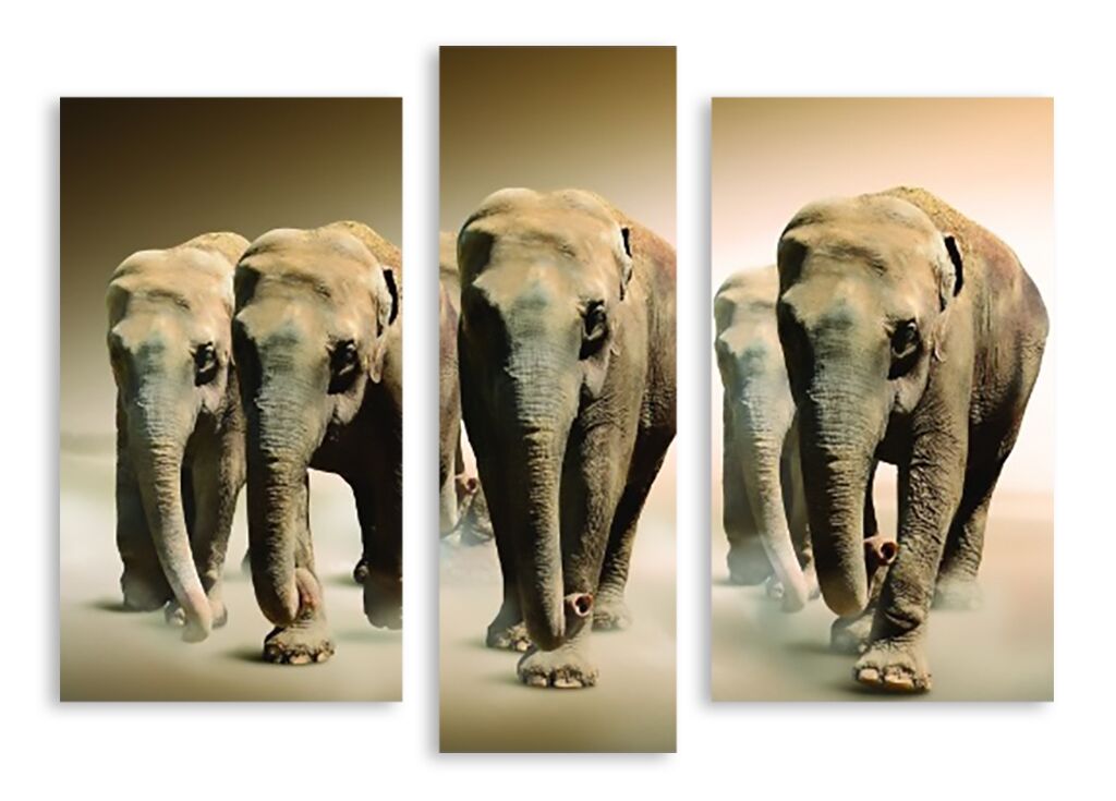 Модульная картина 3030 "Слоны" фото 1