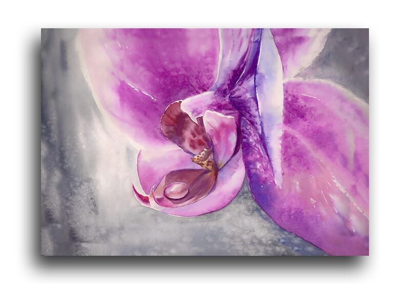 Постер 1283 "Орхидея вблизи" фото 1