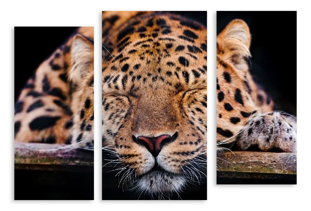 Модульная картина 3400 "Спящий леопард" фото 1