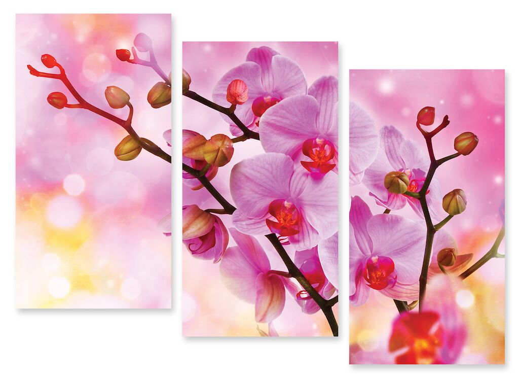 Модульная картина 222 "Сказочные орхидеи" фото 1