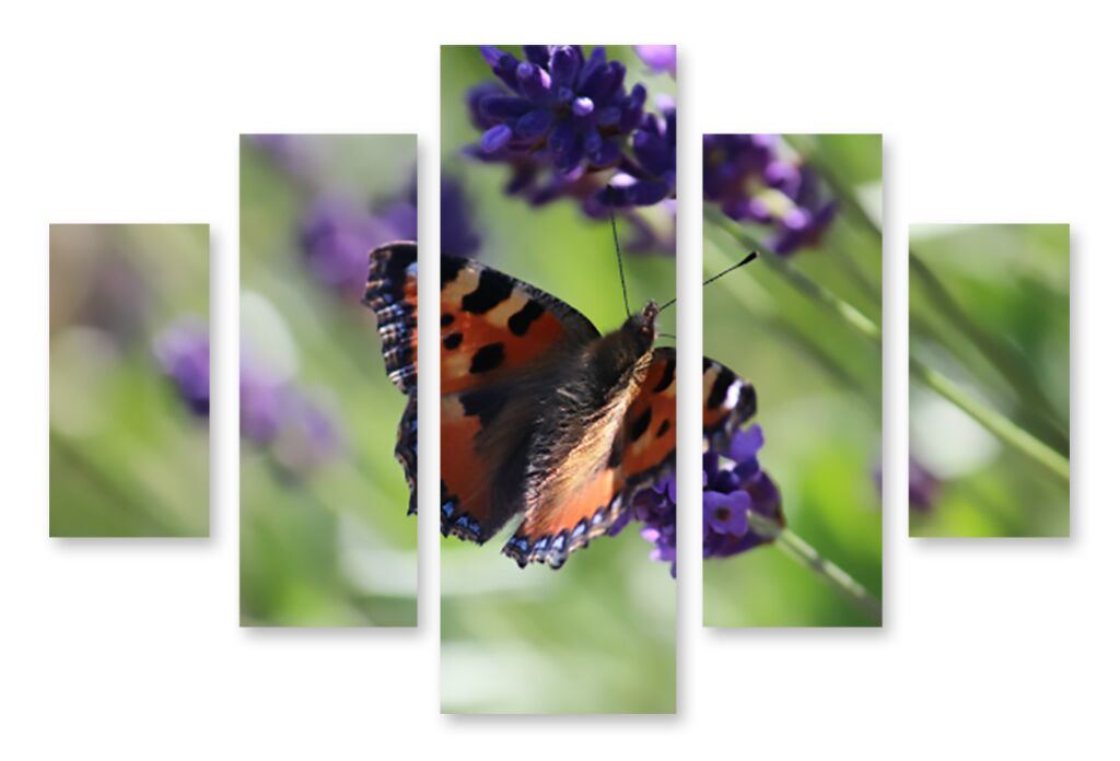 Модульная картина 1401 "Лёгкая бабочка" фото 1