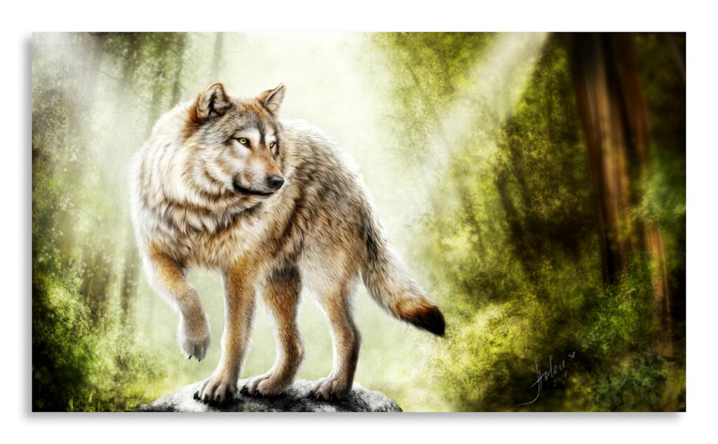 Постер 5195 "Волк" фото 1