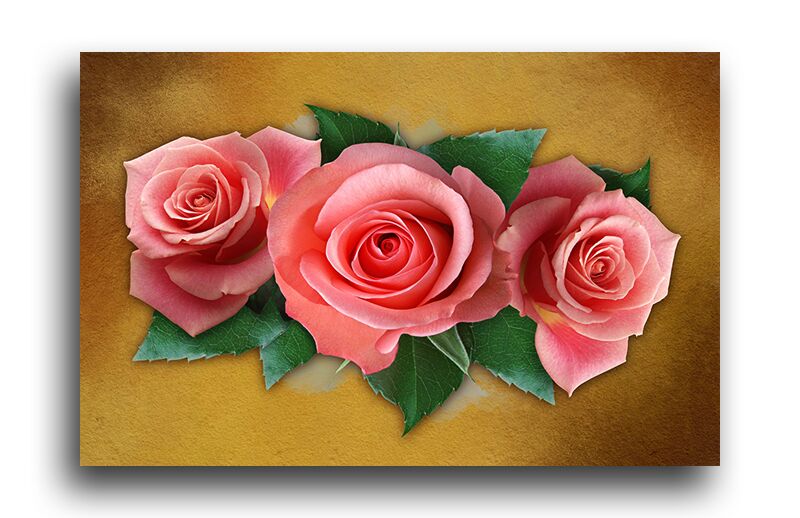 Постер 3379 "Розовые розы" фото 1