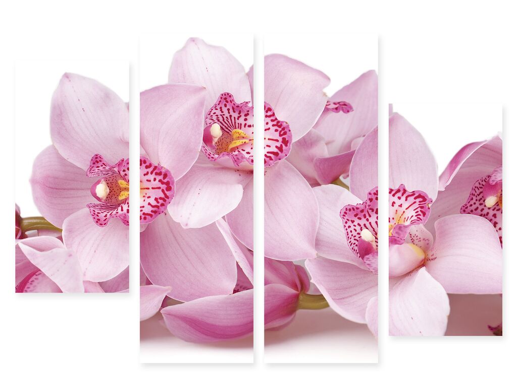 Модульная картина 231 "Розовые орхидеи" фото 1