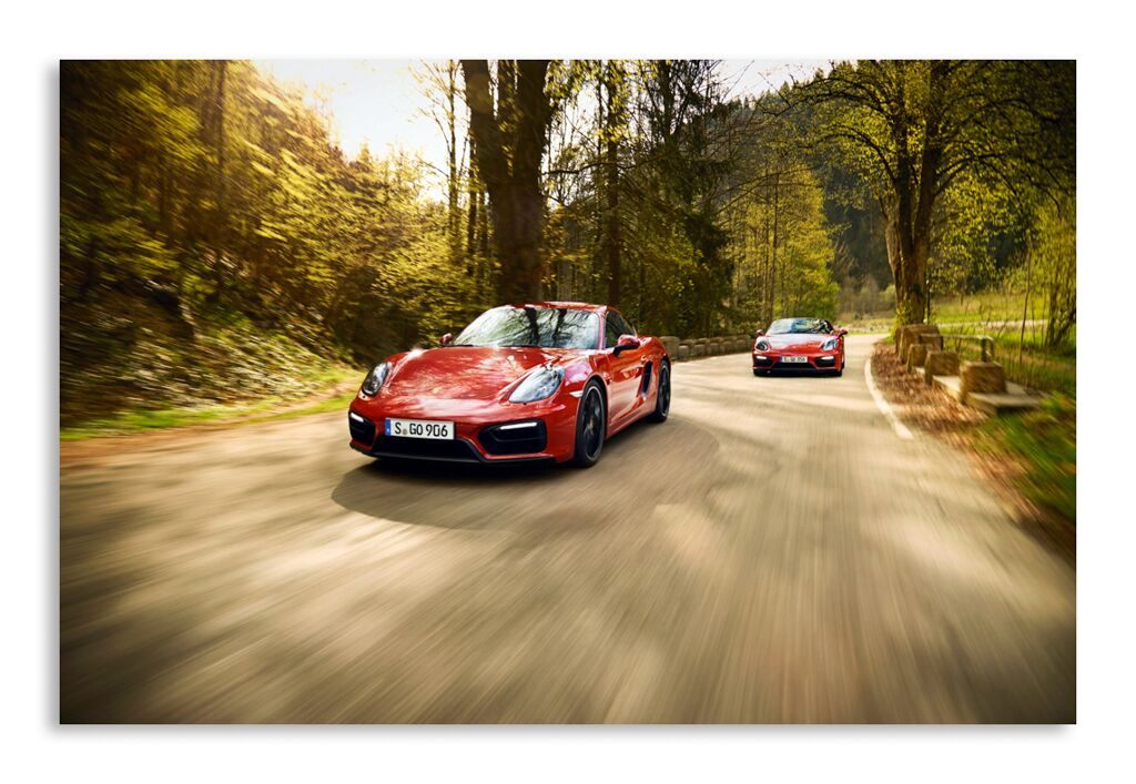 Постер 782 "Porsche" фото 1