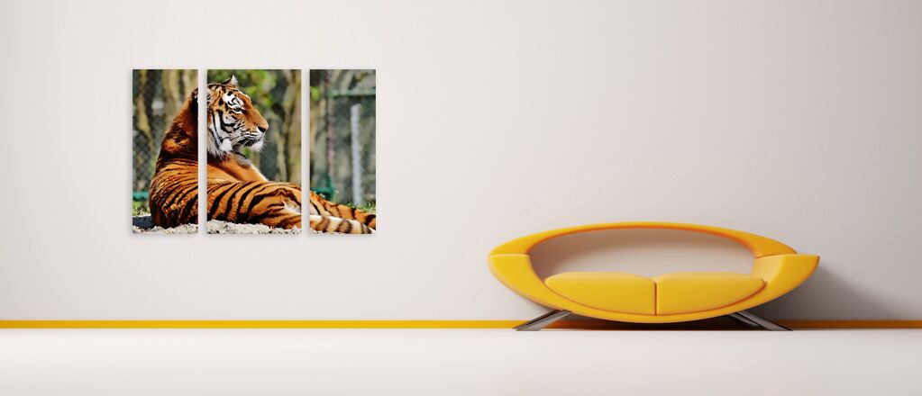 Модульная картина 1385 "Тигр на отдыхе" фото 4