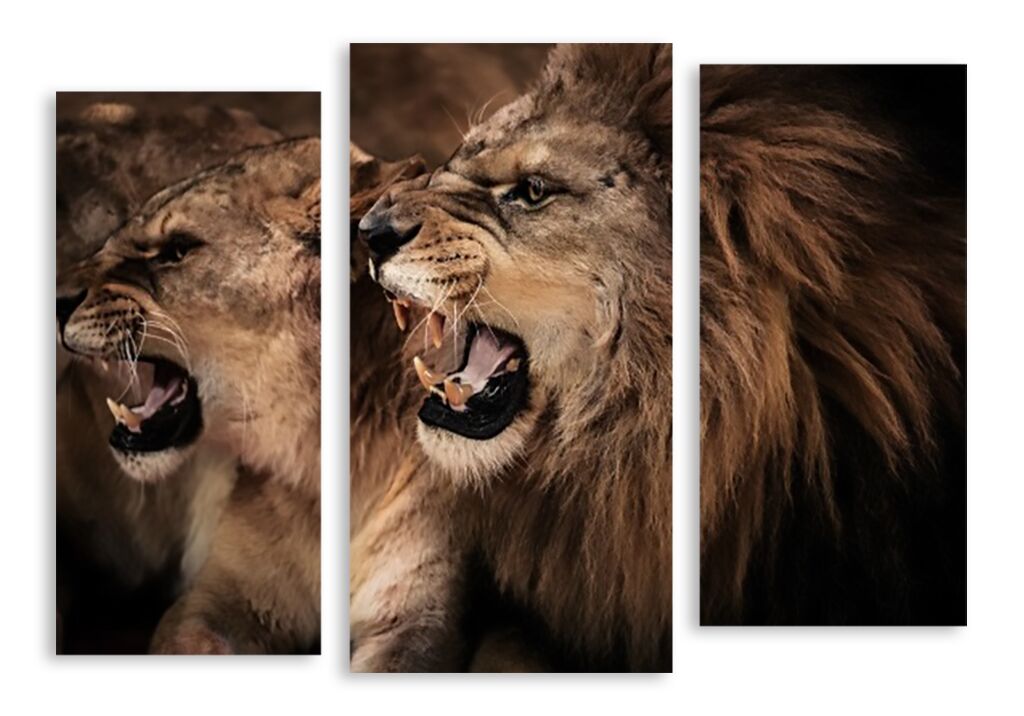 Модульная картина 3270 "Разъяренные львы" фото 1