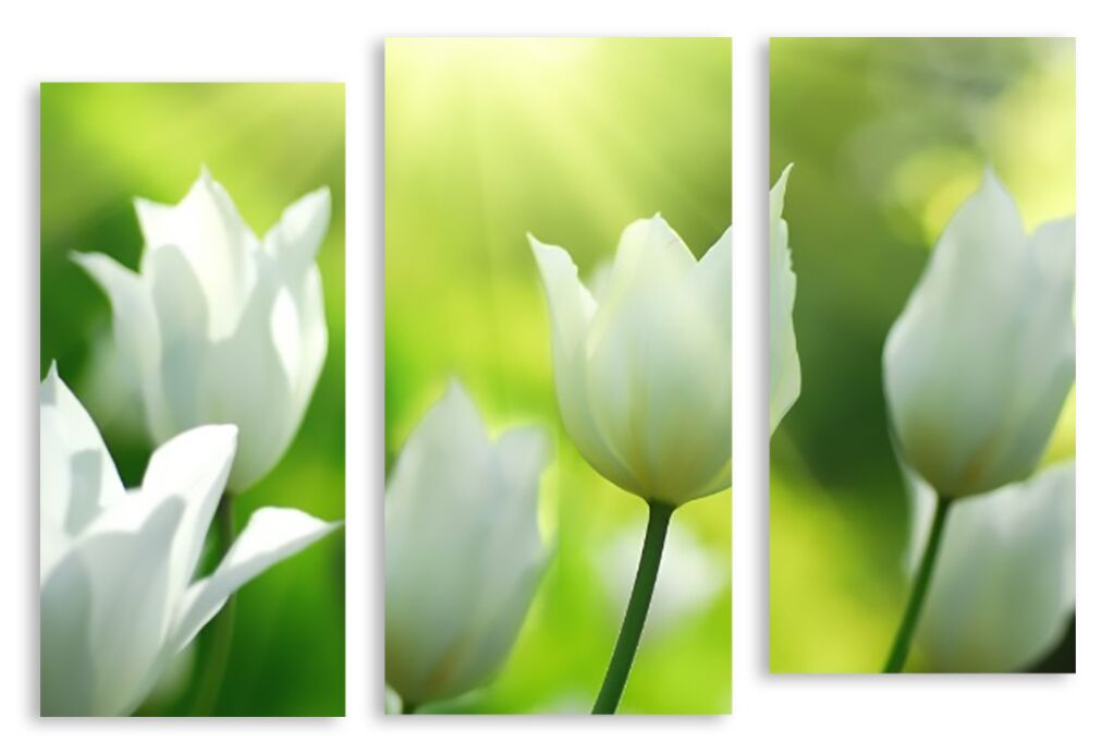 Модульная картина 2704 "Белые тюльпаны" фото 1