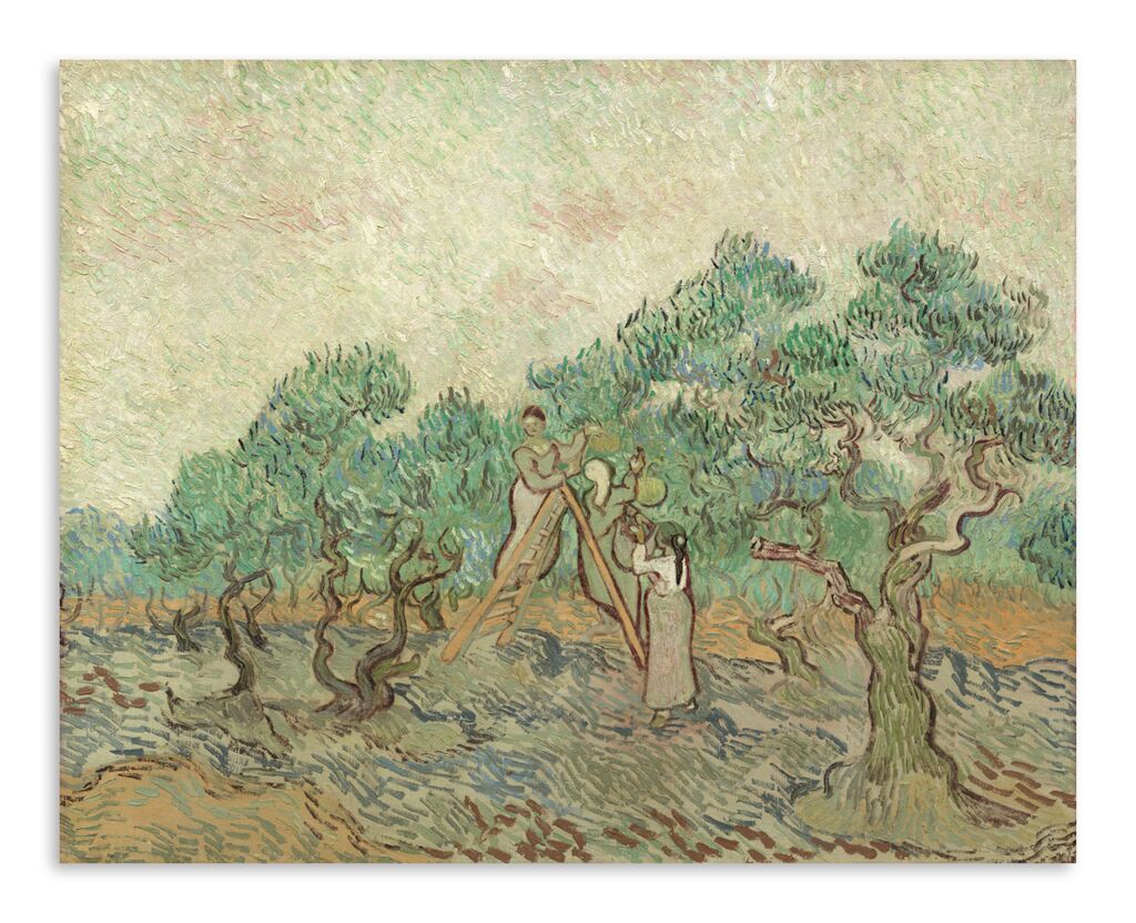 Репродукция 482 "Винсент ван Гог. Оливковый сад" фото 1
