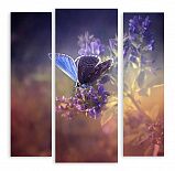 Модульная картина 440 "Бабочка"