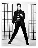 Постер 658 "Elvis Presley"