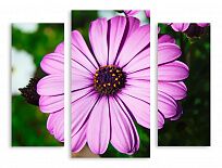 Модульная картина 3153 "Фиолетовый цветок"