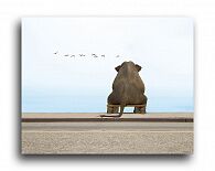 Постер 2976 "Одинокий слон"