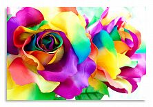 Постер 2732 "Разноцветная роза"