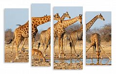 Модульная картина 3307 "Жирафы"