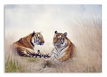 Постер 22 "Тигры на отдыхе"