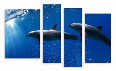 Модульная картина 3542 "Дельфины"