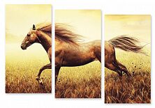 Модульная картина 53 "Бегущая лошадь"