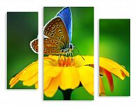Модульная картина 2599 "Бабочка на цветке"