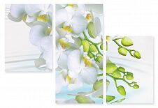 Модульная картина 104 "Белые орхидеи"