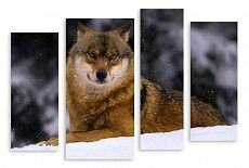 Модульная картина 3390 "Волк"