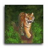 Постер 1765 "Смелый тигр"