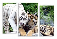 Модульная картина 2884 "Тигры"